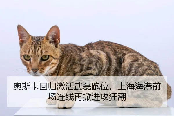 ao-si-ka-hui-gui-ji-huo-wu-lei-pao-wei-shang-hai-hai-gang-qian-chang-lian-xian-zai-xian-jin-gong-kuang-chao-3-582.jpg