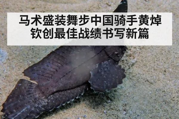 马术盛装舞步中国骑手黄焯钦创最佳战绩书写新篇