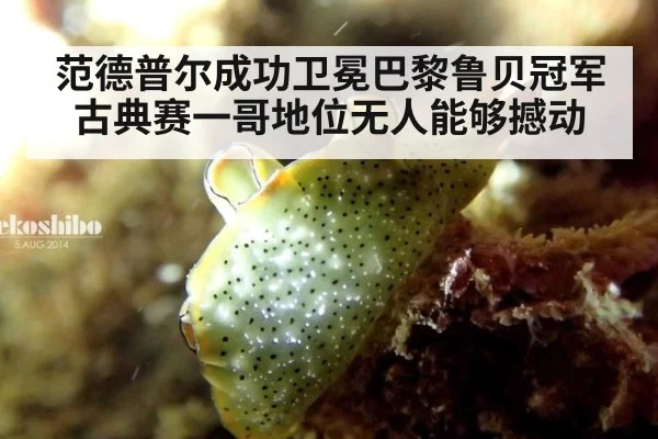 范德普尔成功卫冕巴黎鲁贝冠军 古典赛一哥地位无人能够撼动