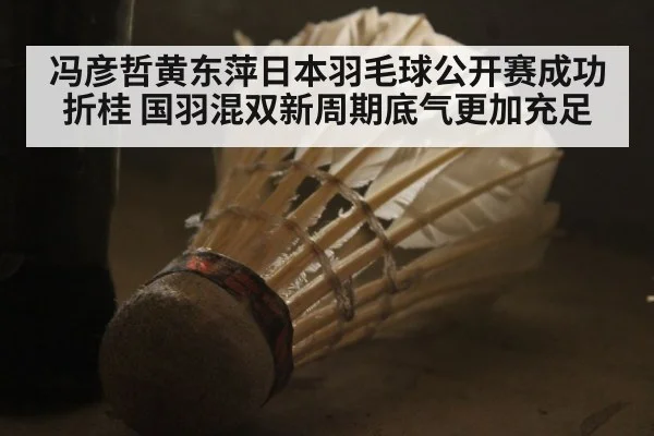冯彦哲黄东萍日本羽毛球公开赛成功折桂 国羽混双新周期底气更加充足